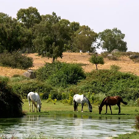 Parque De Monfraguee Hotel Torrejon el Rubio