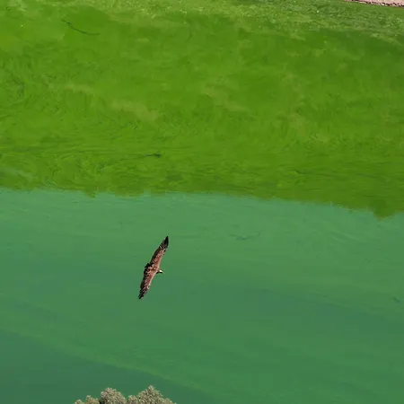 Parque De Monfraguee 4* Torrejon el Rubio