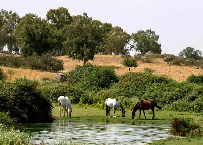 Parque De Monfraguee Hotel Torrejón el Rubio