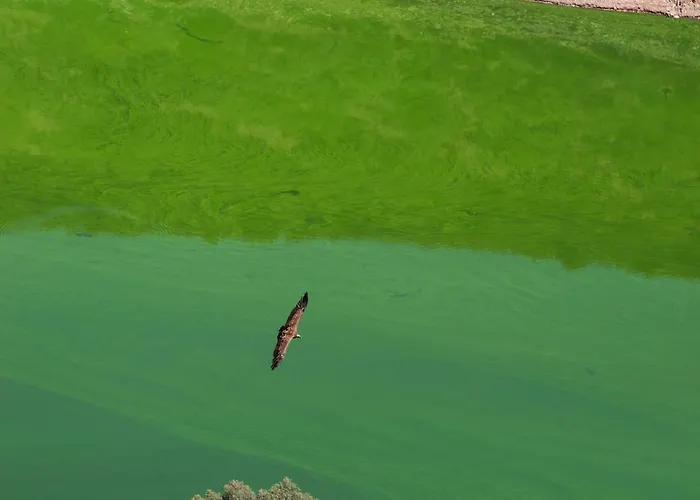 Parque De Monfraguee 4* Торрехон-эль-Рубио